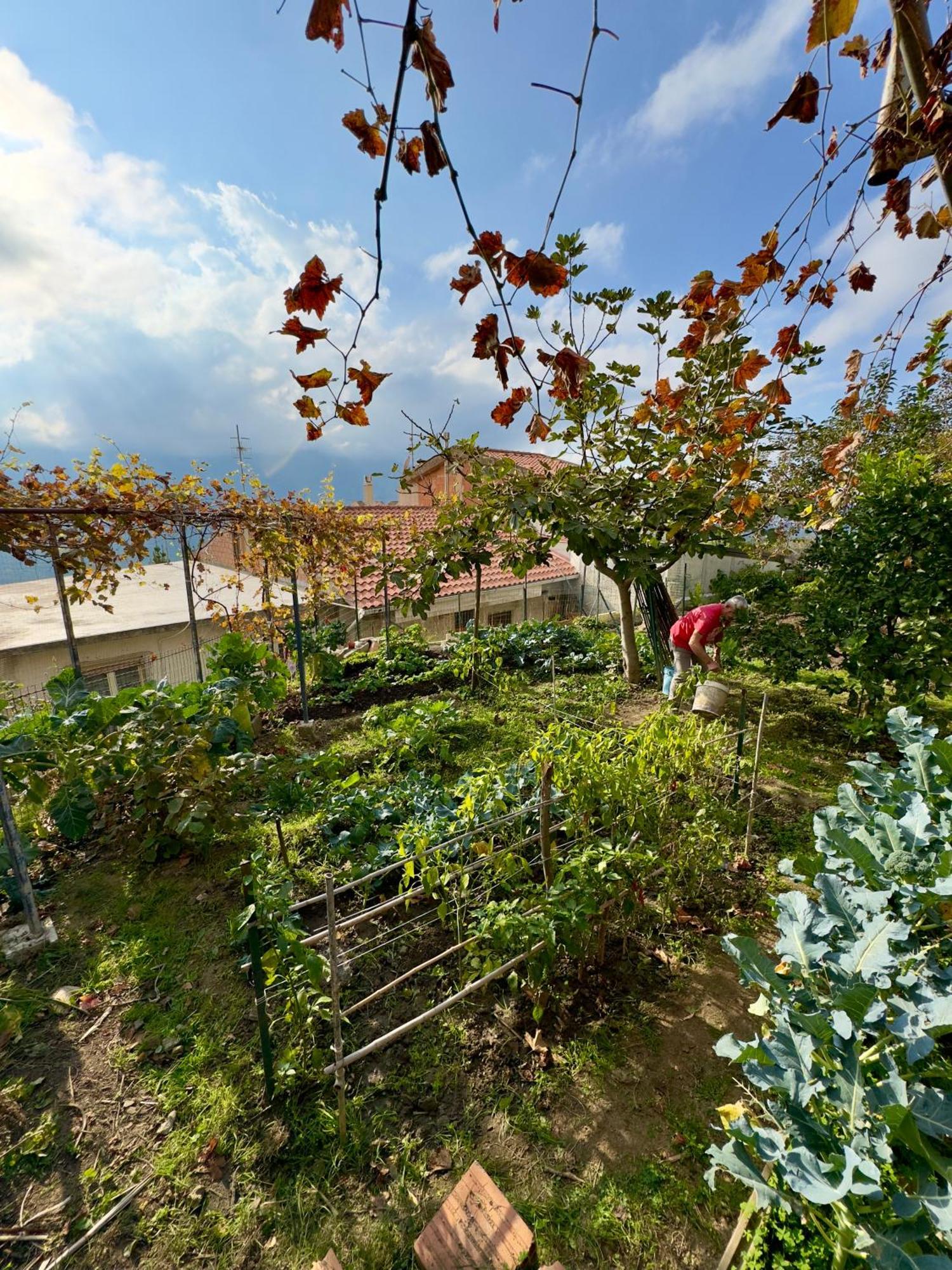 Borgo Maria Rosa Villa San Salvatore di Fitalia ภายนอก รูปภาพ